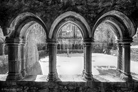 Sligo Friary, County Sligo