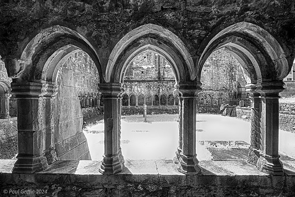 Sligo Friary, County Sligo