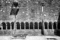 Sligo Friary, County Sligo