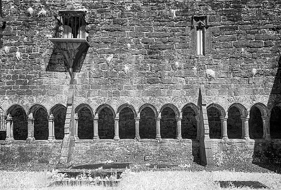 Sligo Friary, County Sligo